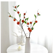 �S��ֱ�N�������֦���l�Ҿ��b�Ʒ���ӹ�֦�����b���Gֲ����