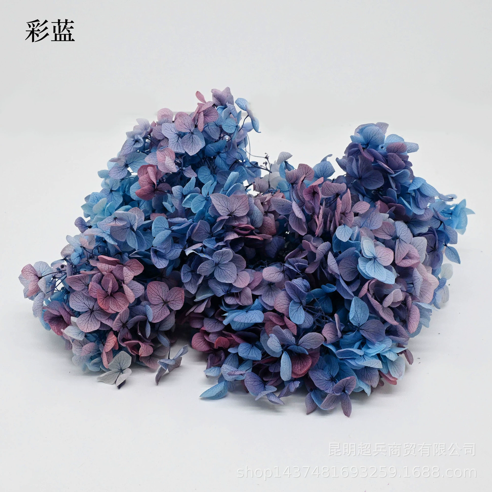 [Вечная Life Flower Hydrangea] Анна Градиентный цвет Лист Hydramid Книга цветов оптом DIY цветочная коробка материал для просмотра