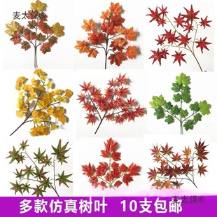 ����t���~�@�ֹ����b���ͩ���~�ә����y���~�＾��֦����̫��