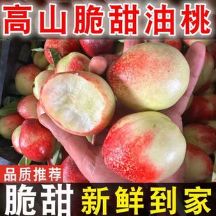 ������Ұ������r�Fժ���Ӵ��𮔼��ЋDˮ���S��ܛ������