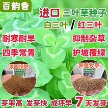 �M�����~�ݰ����~�t���~�������ļ������ͺ��ͺ��o�¾G���G�ʷN��