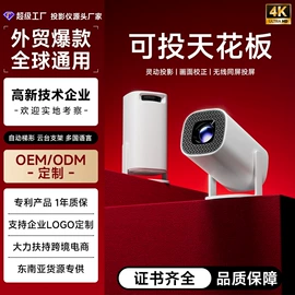 投影仪;网络播放器;电玩设备