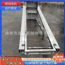 水泥粉渣单斗提升机 链条式翻斗输送机 冰糖块不锈钢单斗上料机