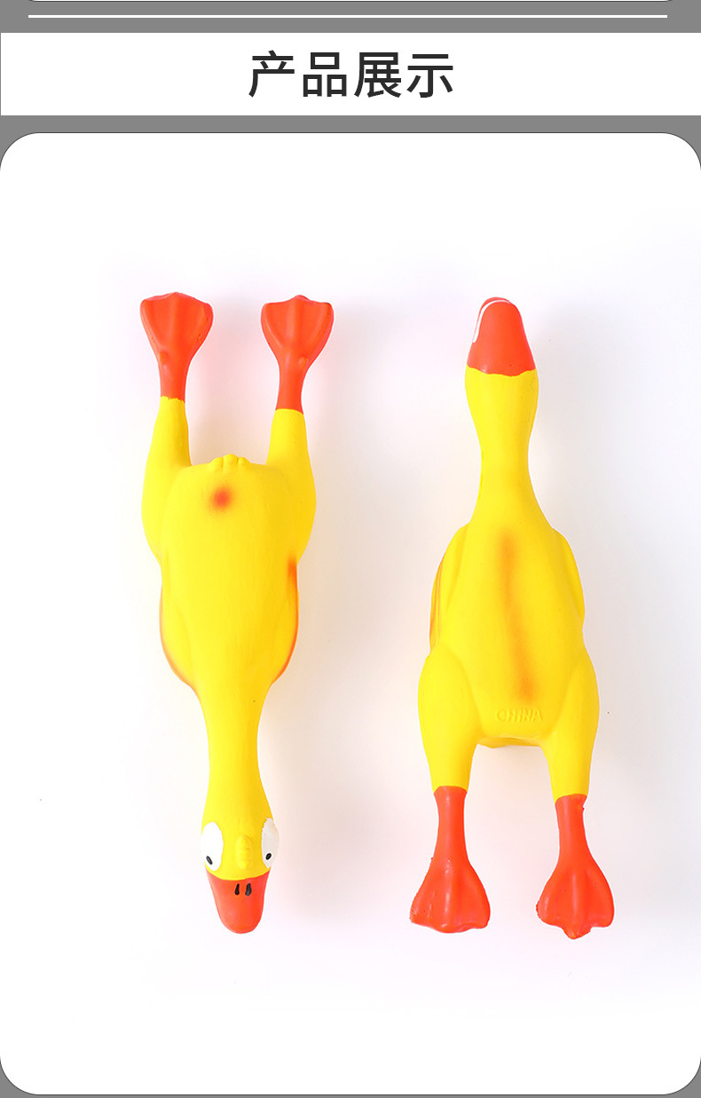 杂货功能性套版_06