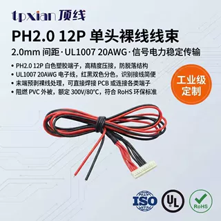 PH2.0-12P端子线 8线转2线 2.0mm间距 12针特殊电子线束定制加工