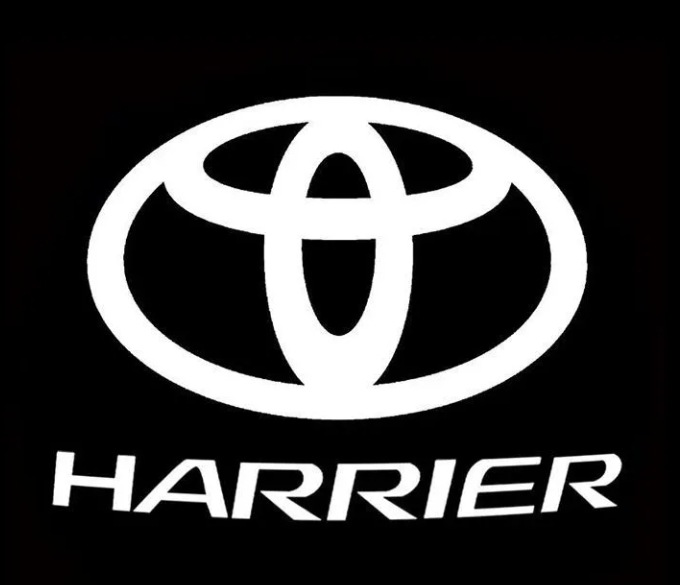 Aplicable a TOYOTA LINGFANG HARRIER VISA puerta no desvanecerse luz de bienvenida luz de atmósfera iluminación de la puerta de la lámpara de proyección image 6