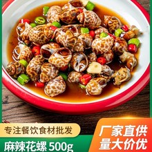 麻辣花螺500g藤椒香辣小海鲜海螺肉香螺凉菜网红小吃餐饮预制菜