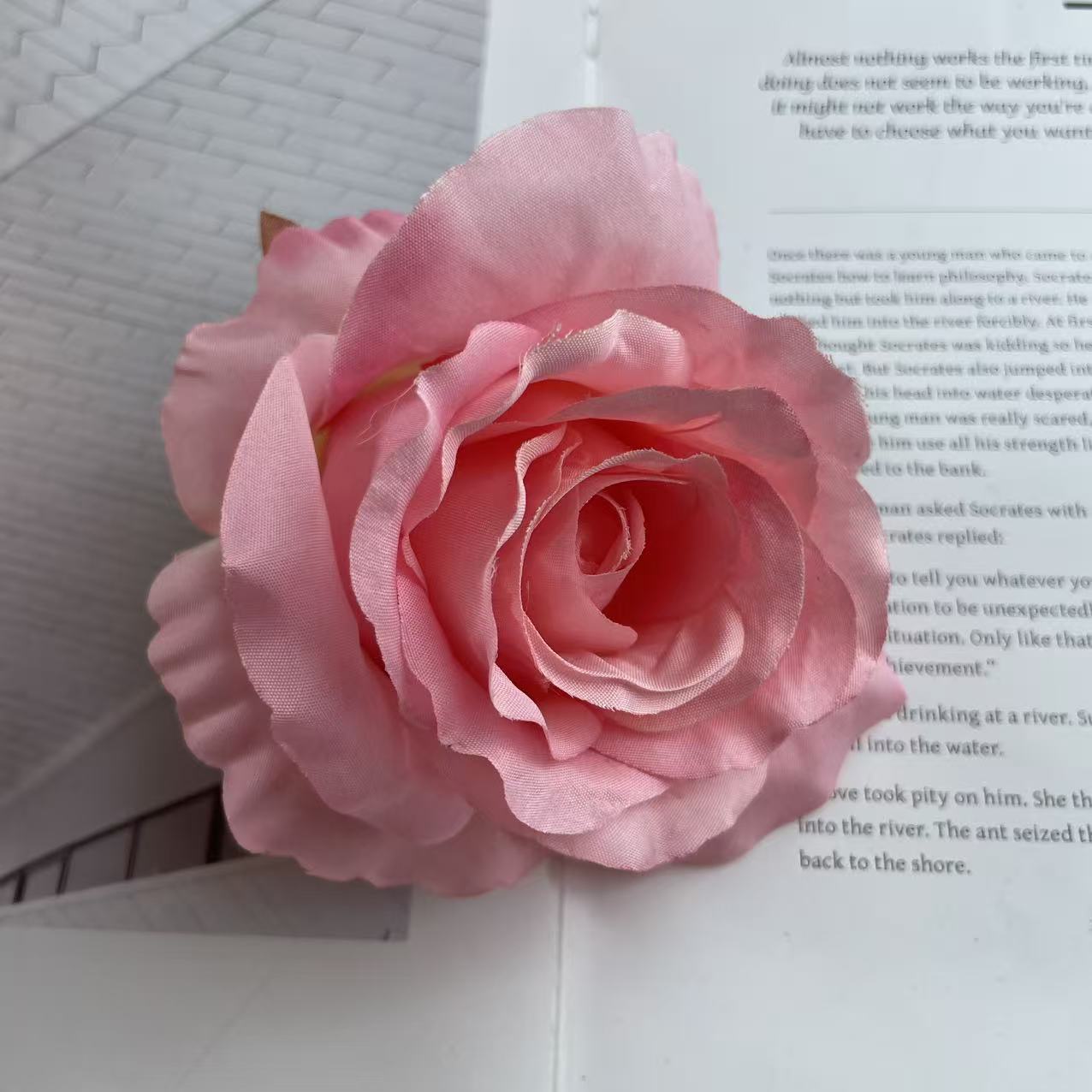 Anna gran rosa cabeza de fábrica al por mayor flowerhead flower corona flower pared flower arrangement artesanía DIY