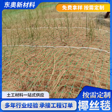 �S��ֱ�N���Bֲ���w�SҬ�z̺�ӵ��o�¼ӽ�_����̺ɽ�w�;G�ޏ�