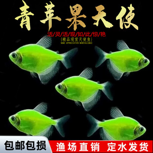 ��ʹ�~�^�p�~��Ⱥ�~�Ꭷ�~Ⱥ��С���~��ˮ�~���B�ͻ�ιʳ