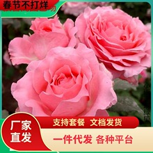һ�����lɺ������õ���¼������ľֲ��ͥԺ�̨�����ļ��_���ͺ�