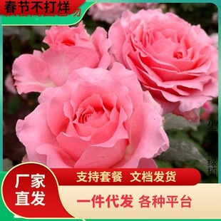 һ�����lɺ������õ���¼������ľֲ��ͥԺ�̨�����ļ��_���ͺ�