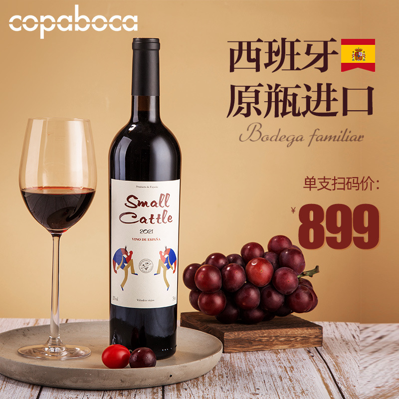 西班牙原瓶进口红酒批发酒水原装13度DO级干红葡萄酒正品代理招商