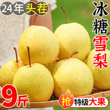 ���u�������rˮ������10�����䮔�����]�����Xɽ��ѩ�S�ڑ���ѩ