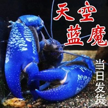 ����{ħ���r��ɽ�Ɖ��߼t���{��С���rˮ���r��ˮ�^�p�r������]