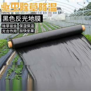 Special Mulch Film for Vegetable Growing, Agricultural Planting, Thickened Anti-Aging Black Mulch Film, Plastic Film for Insulation, Moisturizing and Protection