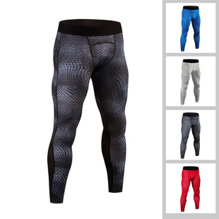 Domestic Size Ready-Made Sports Tight-Fitting Quick-Drying Training Fitness Running Sweat-Wicking Elastic Compression Snake Pattern Snake Scale Pants