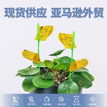 ¿F؛QճxճxlƬزSɫNxxT