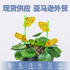 新型の現物の対外貿易の異形の粘虫の板の粘虫の条片は黄色の貼る紙の虫の昆虫の落とし穴を挿して捕獲します。