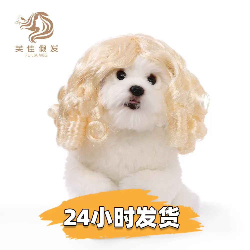 新款宠物假发猫狗通用假发跨境宠物用品圣诞节万圣节法官发饰