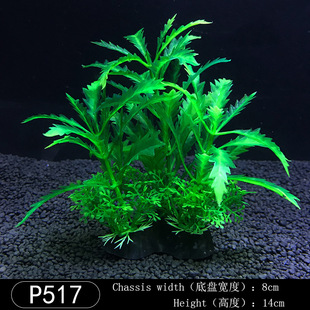 ΢^b[ˮ ~쾰ˮ ˮˮԴ^S