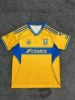 25–26 Tigres (домашняя)