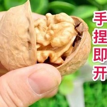 �N�ƴ����½�185��Ƥ�������l500g ��؛�ք�����҈Թ���ʳ�خa��