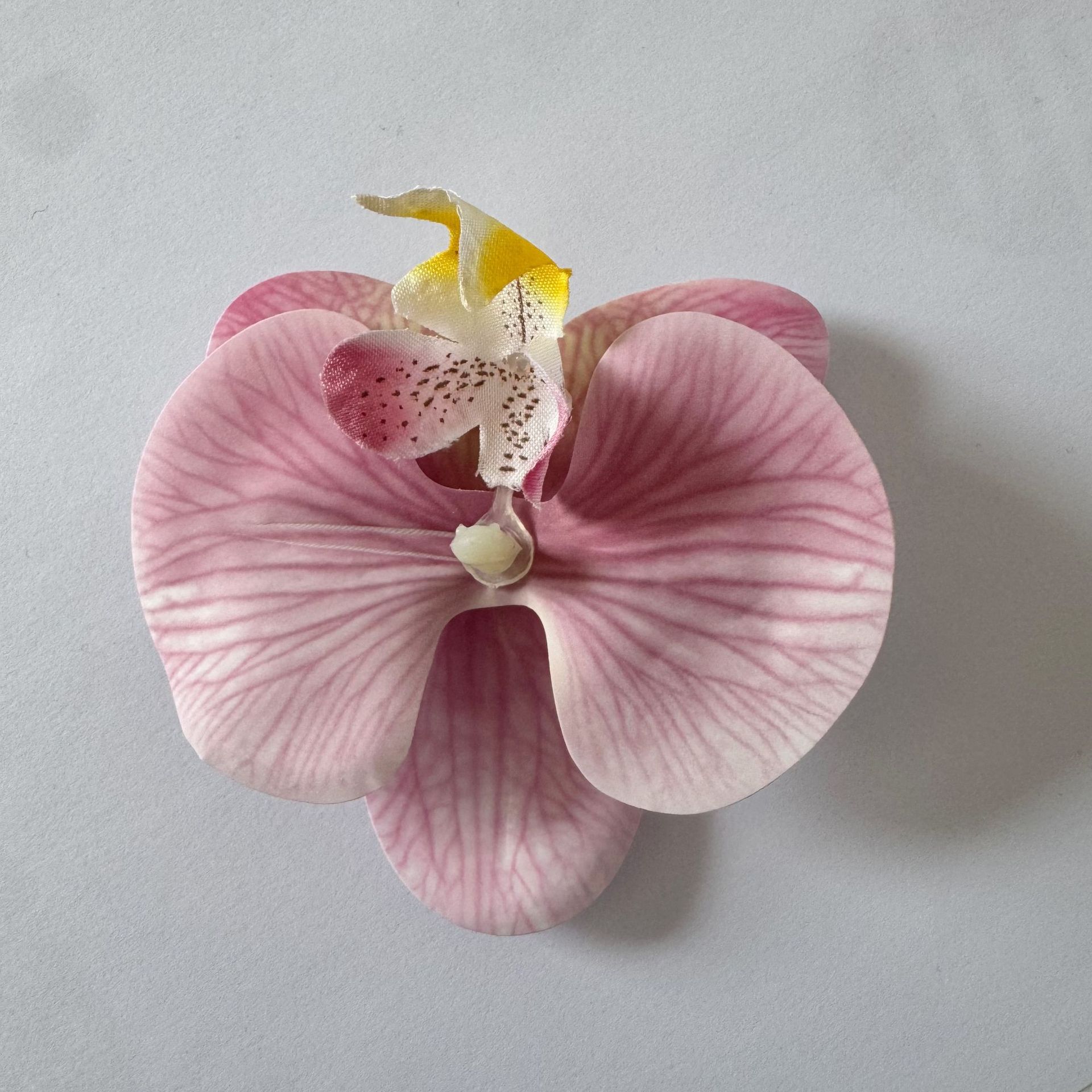 Material de película color pasta de frijol (diámetro 9 cm)