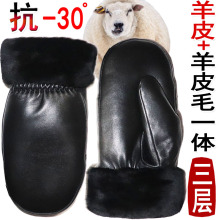 女羊皮羊毛棉手套男冬季加厚连指并指包指真皮真毛皮毛一体手闷子