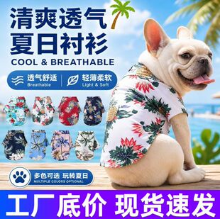 �ļ����Ռ����·�ɳ���L�r�������·�ѩ�{��̩����Ȯ������b