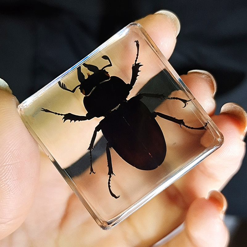 로얄 블루 원형 톱 셔블