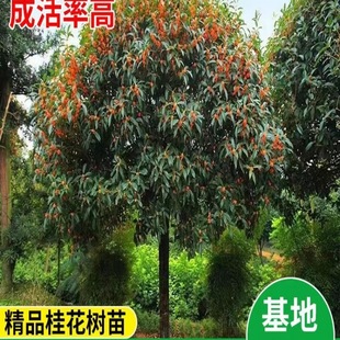 ���͹𻨘�����¹𵤹�ͥԺ�e����������ֲ���ͺ��ļ���G��