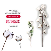 �ֹ������޻��ɻ� �l���L��ˇ��c�����ҾӔ[�O ��֧�޻�����