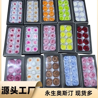 永生花奥斯丁玫瑰花头A级4-5cm制作花束干花花材diy材料紫心白边