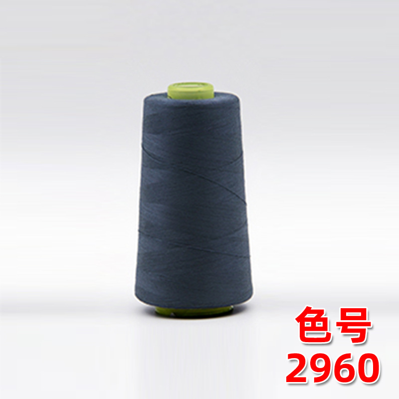 네이비 블루 2960