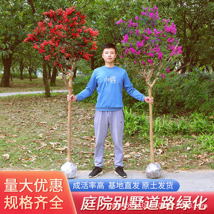 ��ޱ���������԰��ռt����ͥԺ�Ϙ��e������G��ֲ��ͥԺ�����ļ�