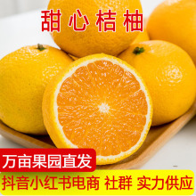 福建甜心桔柚甜心柚新鲜水果黄金贡柚子柑橘桔子甜桔柚当季批发