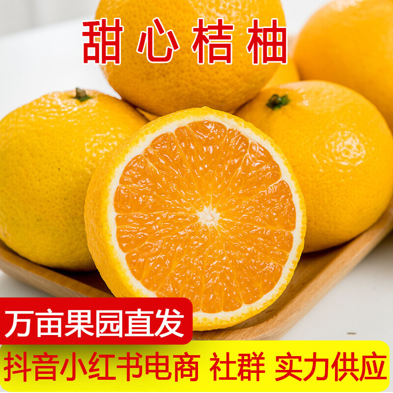 福建甜心桔柚甜心柚新鲜水果黄金贡柚子柑橘桔子甜桔柚当季批发