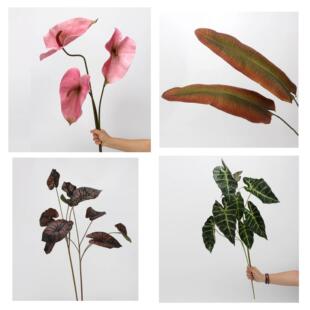 EVA�ش����~�t���~�廨��������OӋ���Q�~�B�ڿ�ȸ�~