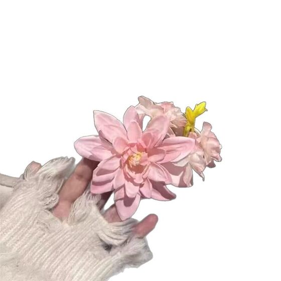 Early Spring New Chinese Style Gentle Pink Flower Hairpin Vintage Hair Pill Head Hairpin Flower Clip Atmosphere Hair Accessories