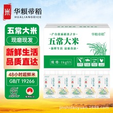 AZ۵峣5kgl؛ȴXĤϙn aֱl