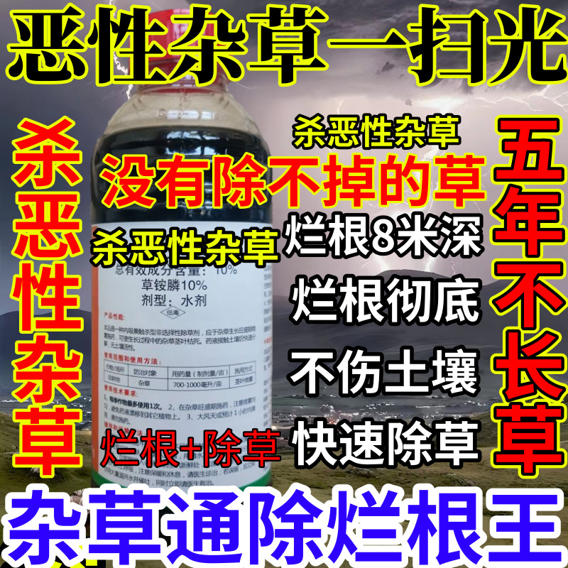 恶性杂草一扫光精草铵膦铵盐果园烂根小飞蓬耕地强效除草剂烂根王