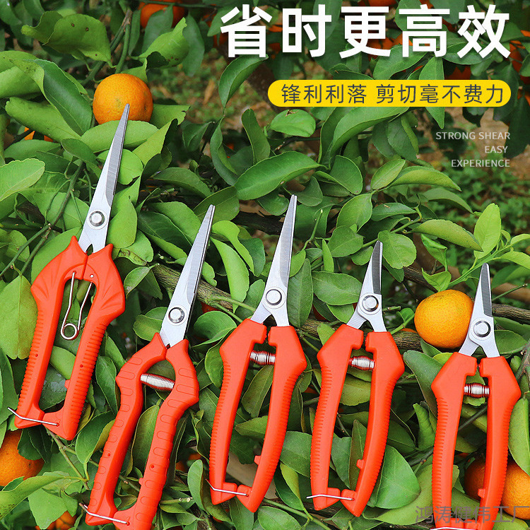 摘果剪采摘花椒剪子修花枝摘果神器修剪葡萄水果专用蔬果剪刀工具