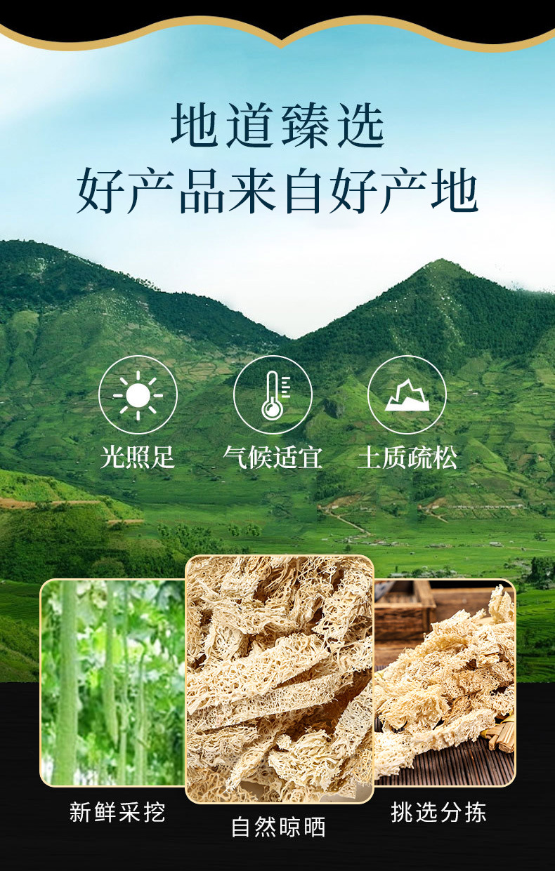 Loofah Sponge (Luffa cylindrica) — Dried Si Gua Luo Food Herb for Soup & Tea overview