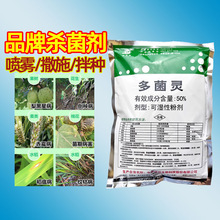 400g云农牌50%多菌灵粉剂 倒秧病赤霉病果树油菜杀菌剂农药
