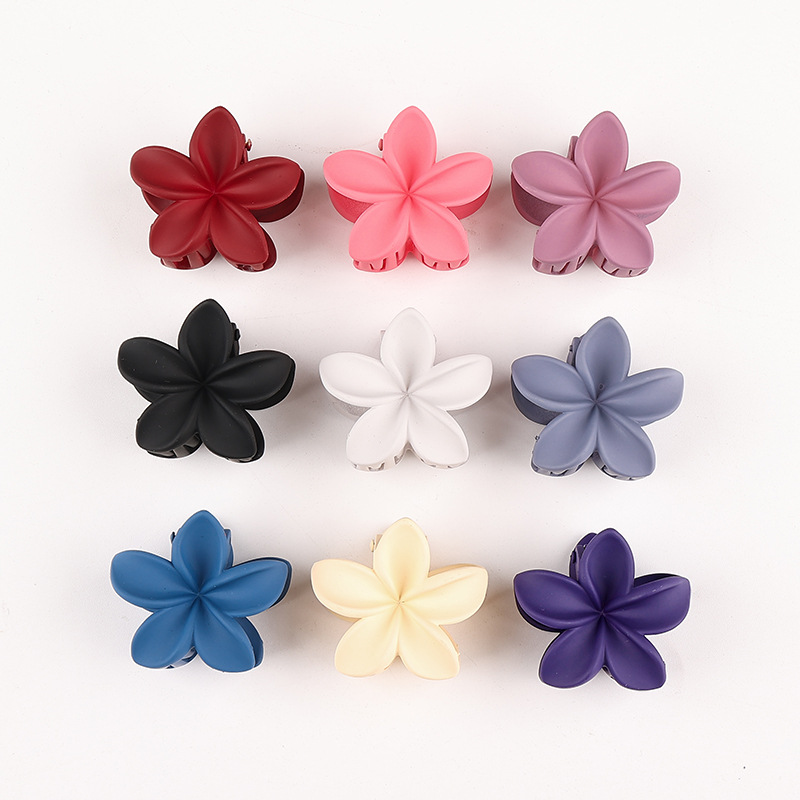 12g Weight Hair Claws Hair Accessories Type 1 Piece Quantity Holiday, Daily Occasion Plastic, Resin Material Plumeria Pattern Women's Gender Simple Style Style Simple Style Women's Plumeria Plastic Resin Hair Claws 1