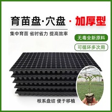 ����PѨ�P�бP��������P���������P�߲˺�������Ӻ����������P