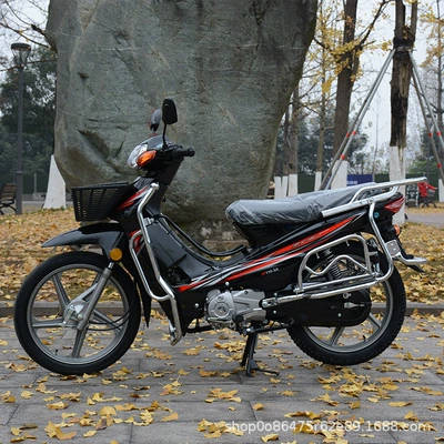 Brand New Export Curved Beam Motosikletlər
