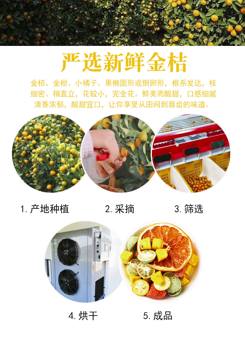 Freeze-Dried Fruit Tea Blend — Kumquat, Lime, Passion Fruit & Grapefruit, 500g Loose preparation