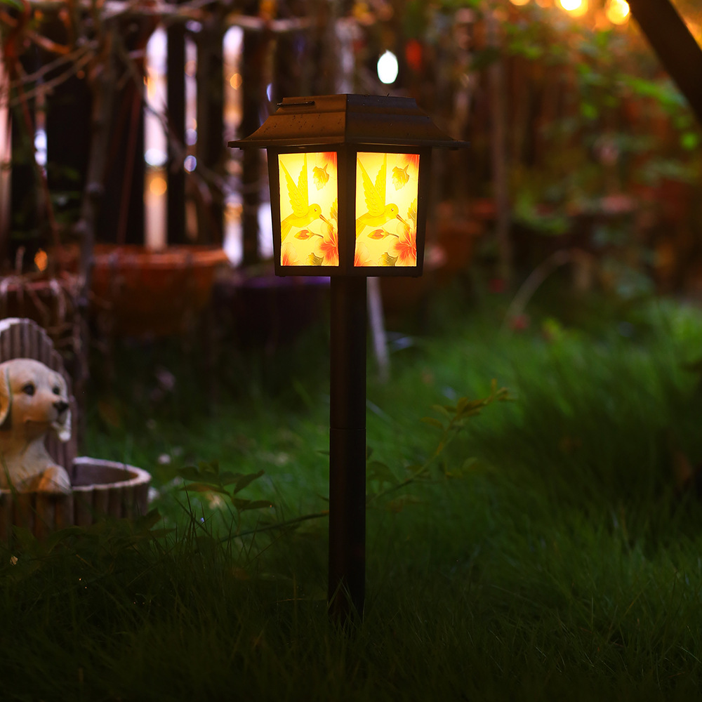 태양 강풍 빛 (벌새)